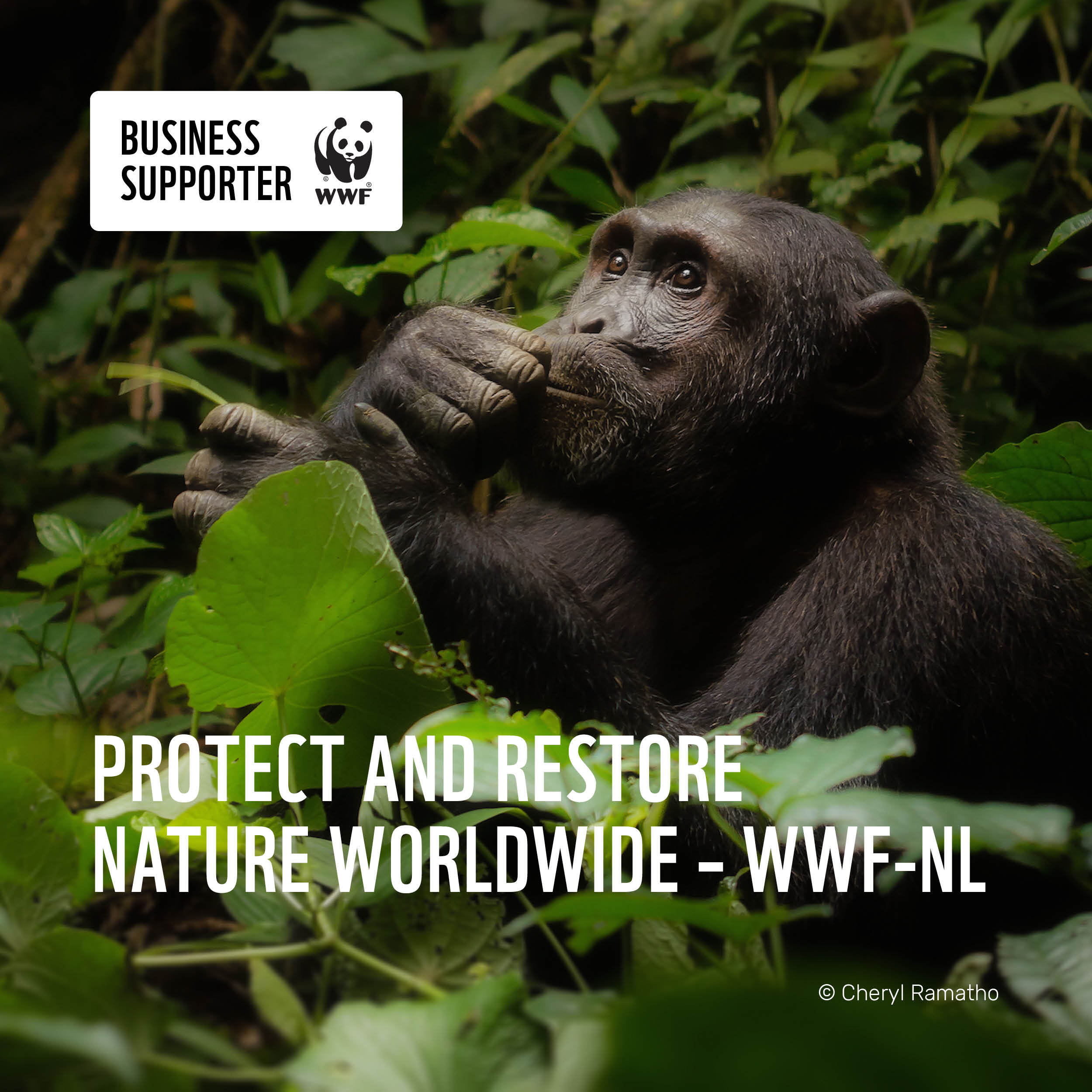 Breddels business partner Wereld Natuur Fonds